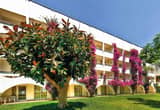 Galeri Image